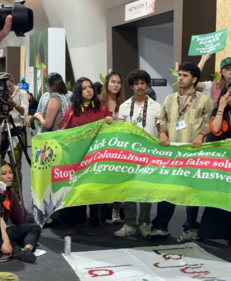 Incidencia internacional